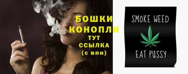 шишки Нязепетровск