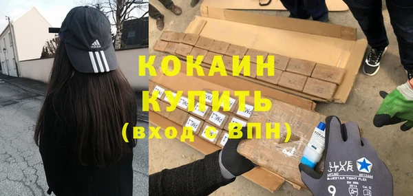 шишки Нязепетровск