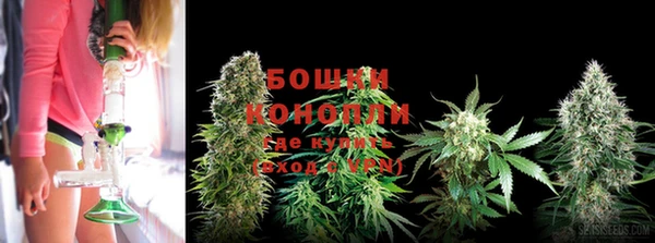 гидропоника Нягань